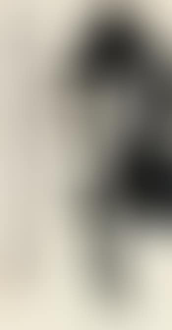 Lotus (preview)