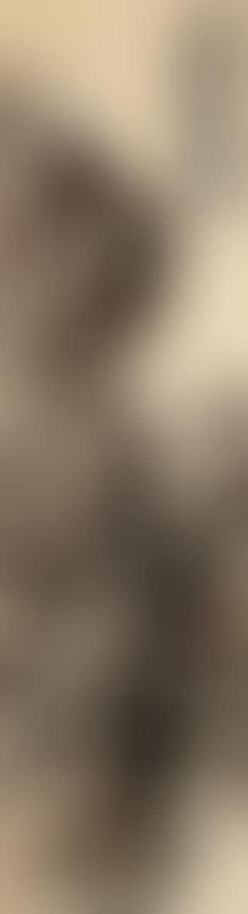 Landscape in the style of Shitao (preview)