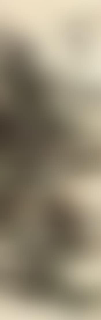 Landscape (preview)