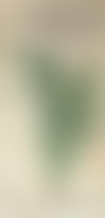 Bamboo (preview)