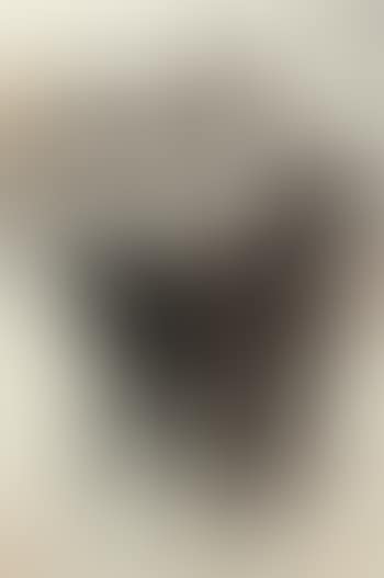 Donkeys (preview)