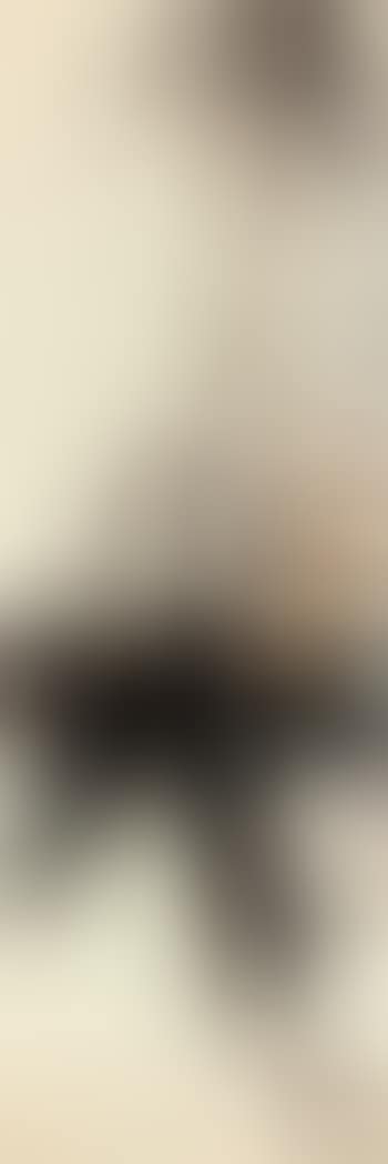 Loquat (preview)