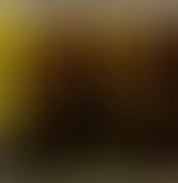 Autumn landscape (preview)