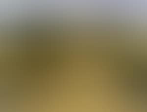 Hilly landscape with fields of grain (preview)