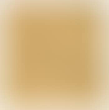 Landscape with bare trees in the wind (preview)