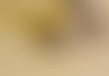 Female nude in stockings (preview)