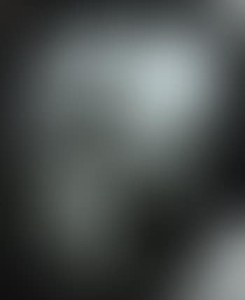 Goya series (preview)