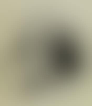 Self portrait (preview)