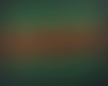 Landscape (preview)