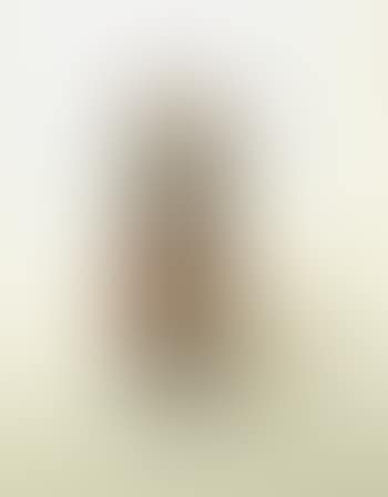 Standing Indian (preview)