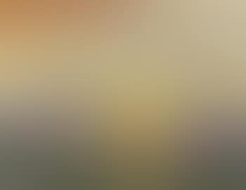 Evening sunshine over a marsh landscape (preview)