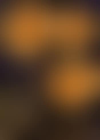 Three sunflowers (preview)