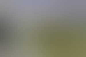 Paysage de montagne (preview)