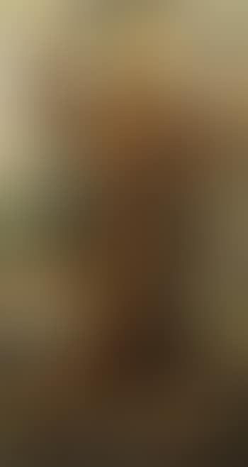 St. Francis of Assisi (preview)