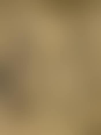 Lamentation of Christ (preview)