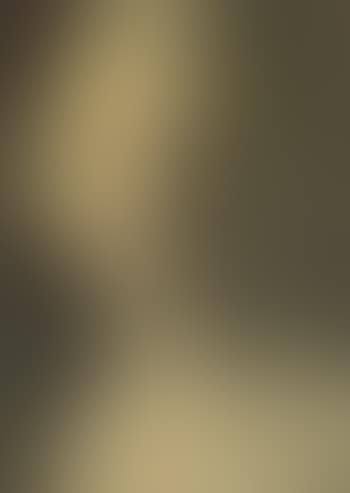 Portrait of a lady, head and shoulders (preview)