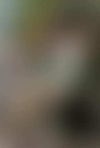 Jeune femme assise (preview)