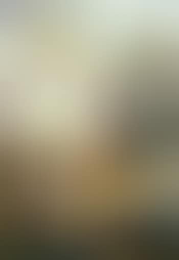 View in Venice (preview)