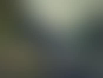 Hallstatt (preview)