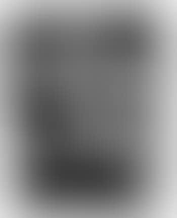 Reflection of a dancer in a mirror (preview)