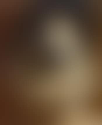 Face au destin II (preview)