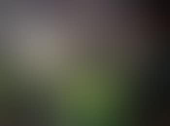 Eturdisart (preview)