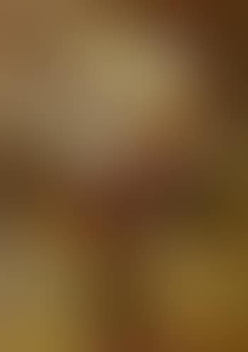 Still life with chrysanthemums (preview)