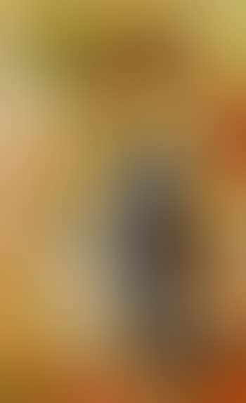 Le chaton (preview)