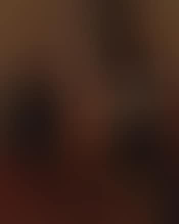 Espagnols (preview)