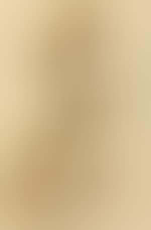 Portrait of a woman wearing an historical costume (preview)