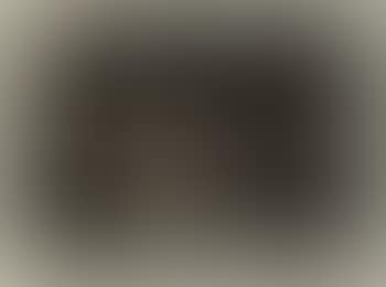 Minotaure aveugle guide par une fillette dans la nuit (preview)