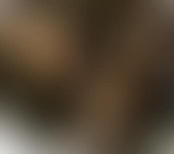Hands (preview)