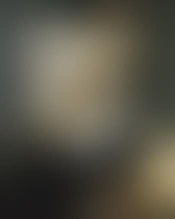 Portrait of a rider on a white horse (preview)