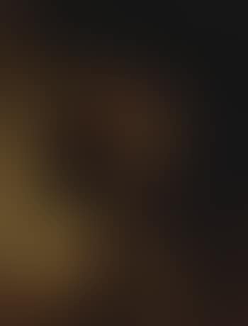 Interior of an inn with a hunter and two dogs (preview)