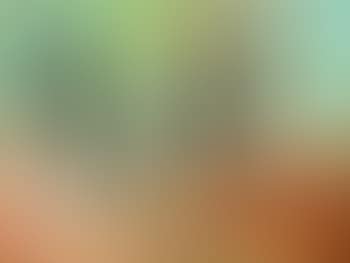 Interieur (preview)