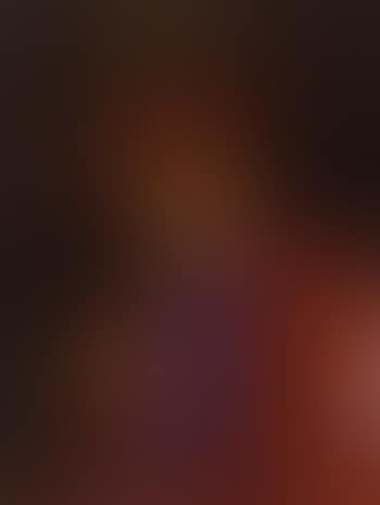 Portrait of a Cardinal (preview)