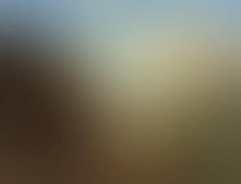 Landscape by Vierwaldstattersee (preview)