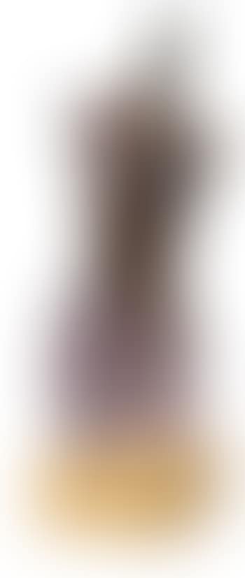 Venus violon (preview)