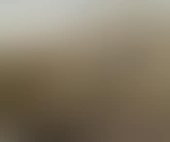 Ned Kelly and horse, running (preview)