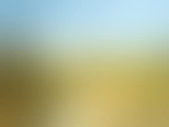 Grass trees (preview)