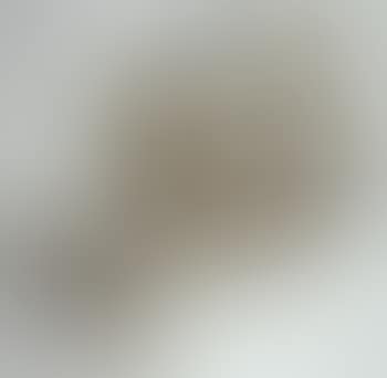 Early bug (preview)