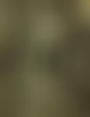 Abstract (preview)