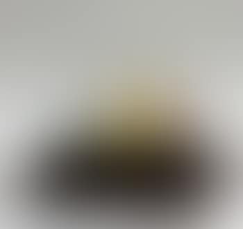 Downturned tail (preview)