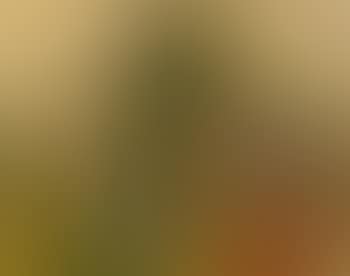 Paysage (preview)