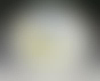 White ground fish (preview)