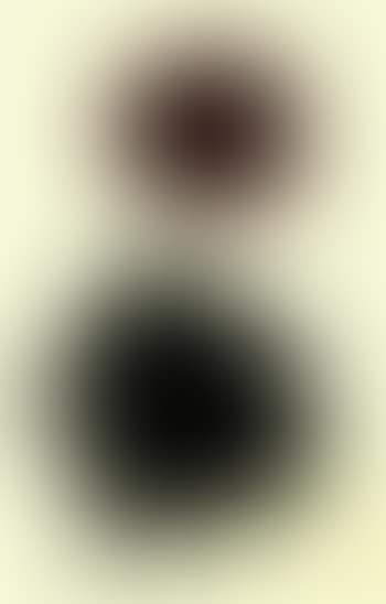 Transfiguration IV (preview)