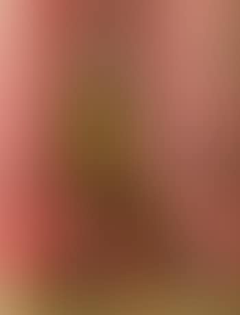 Bebert (preview)