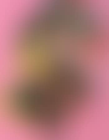 Dollar sign (preview)