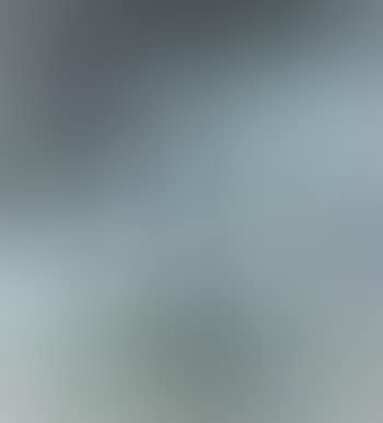 Wet season (preview)