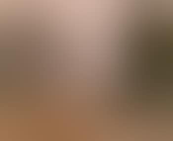 Misty morning (preview)